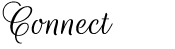 connect